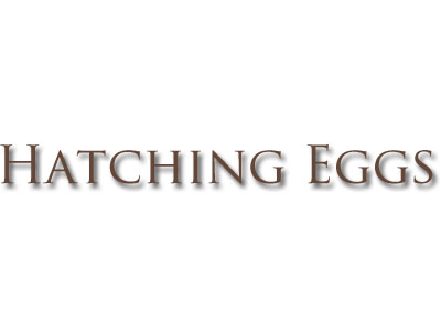 hatching eggs